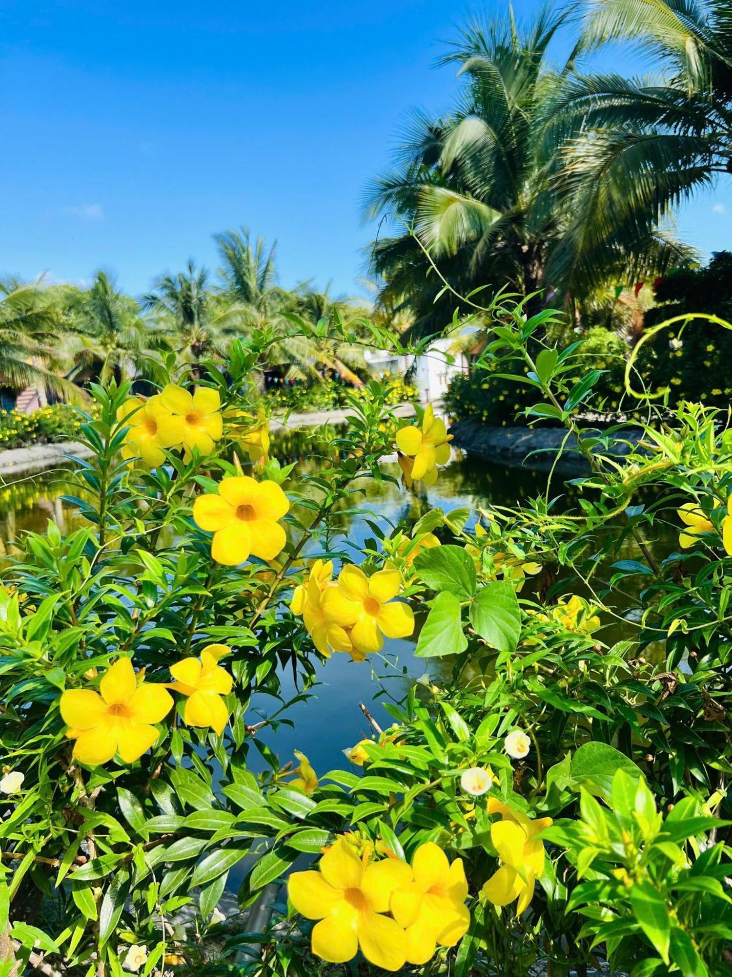 Ho Coc Park & Resort Xa Nhu Lam Buitenkant foto